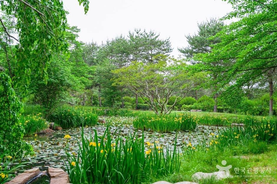 경주_경상북도 산림환경연구원 (4)