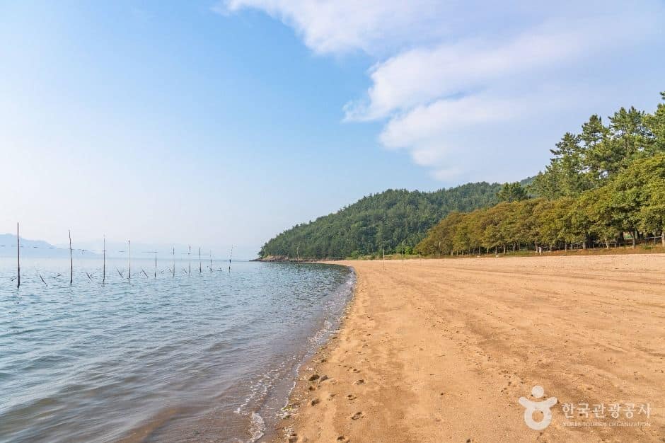 고흥_풍류해수욕장 (4)
