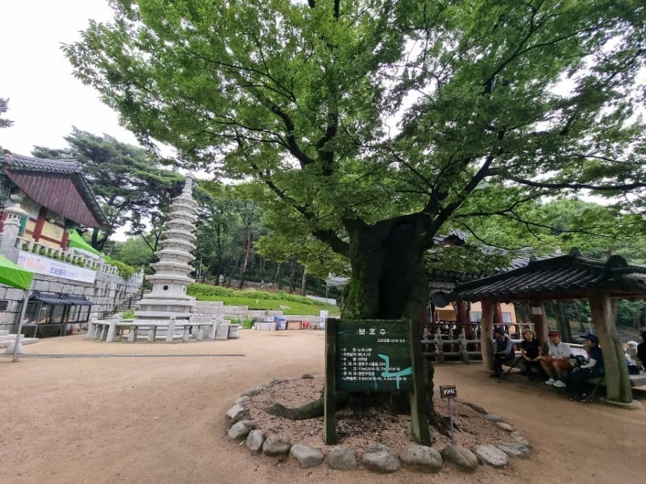 [서울둘레길 12코스] 호암산코스 (1)