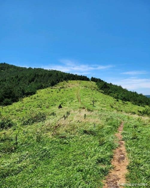 서귀포_영주산 (3)