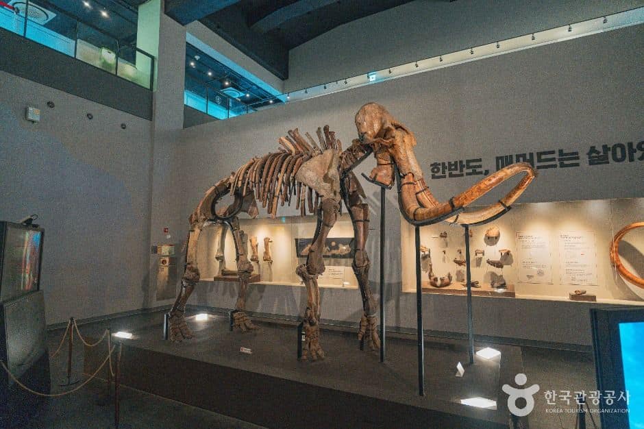 대전_천연기념물센터(대전) (6)