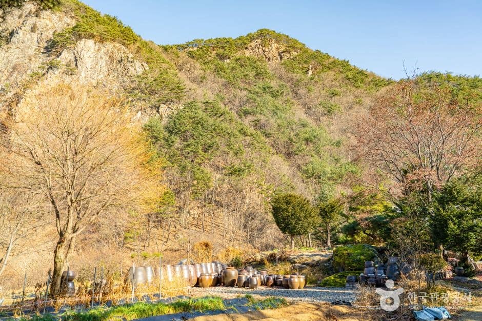 보은_구병리아름마을 (5)