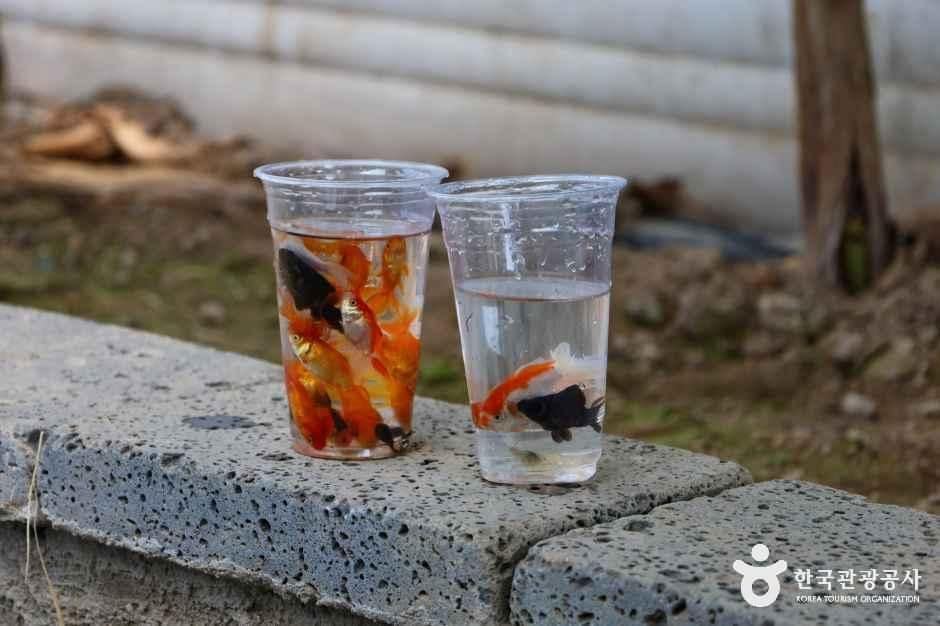 함평_함평바나나생태나라_내부_9.jpg