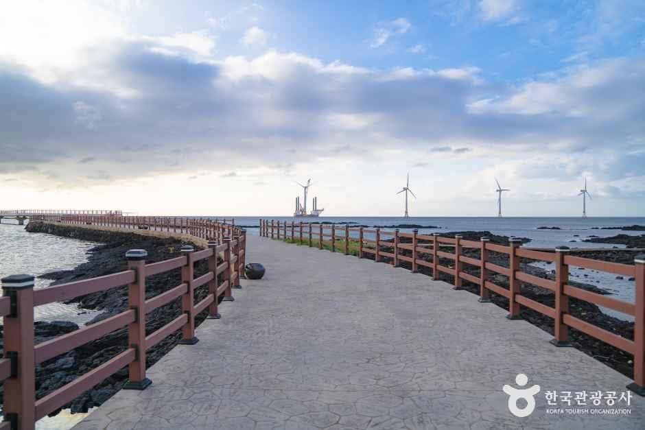제주_제주_싱계물공원_6.jpg