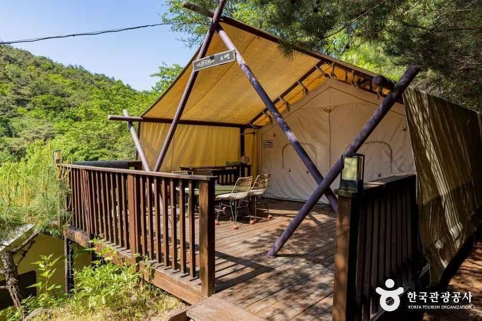 제천_청풍월드니스글램핑 (4).jpg
