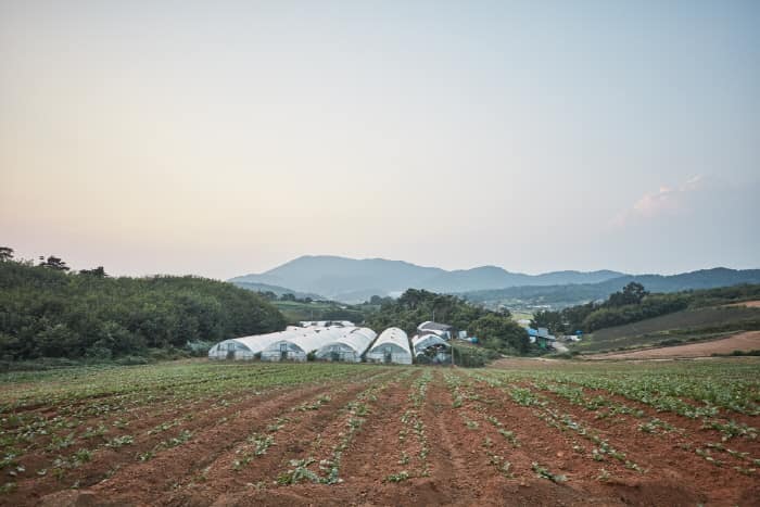 한국문화정보원_하누리마을 6