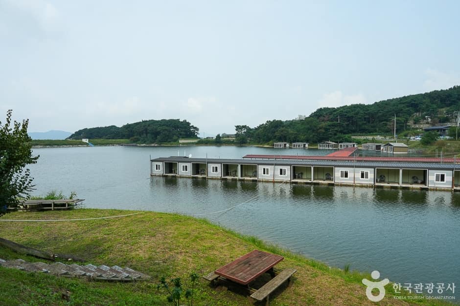 A04242_인천_강화_황청낚시터(13)