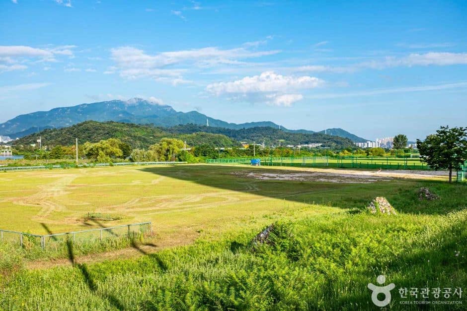 칠곡_석적체육공원 (1)