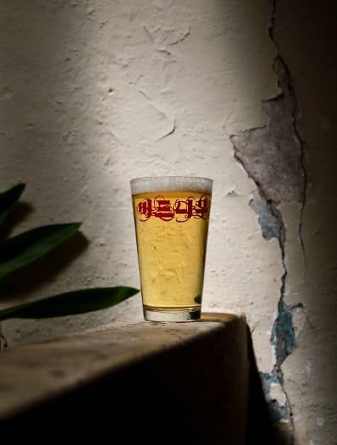 강릉_버드나무 브루어리 (4)