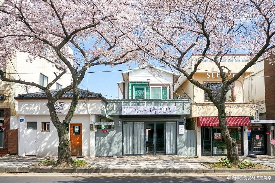 제주_전농로 (3)