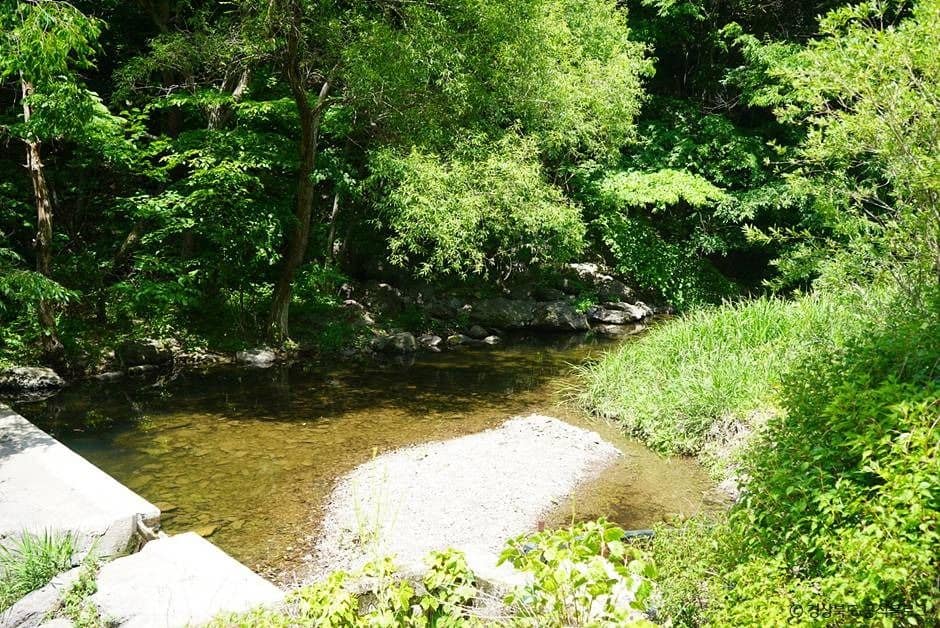 청송_주산지 (청송 국가지질공원) (1)