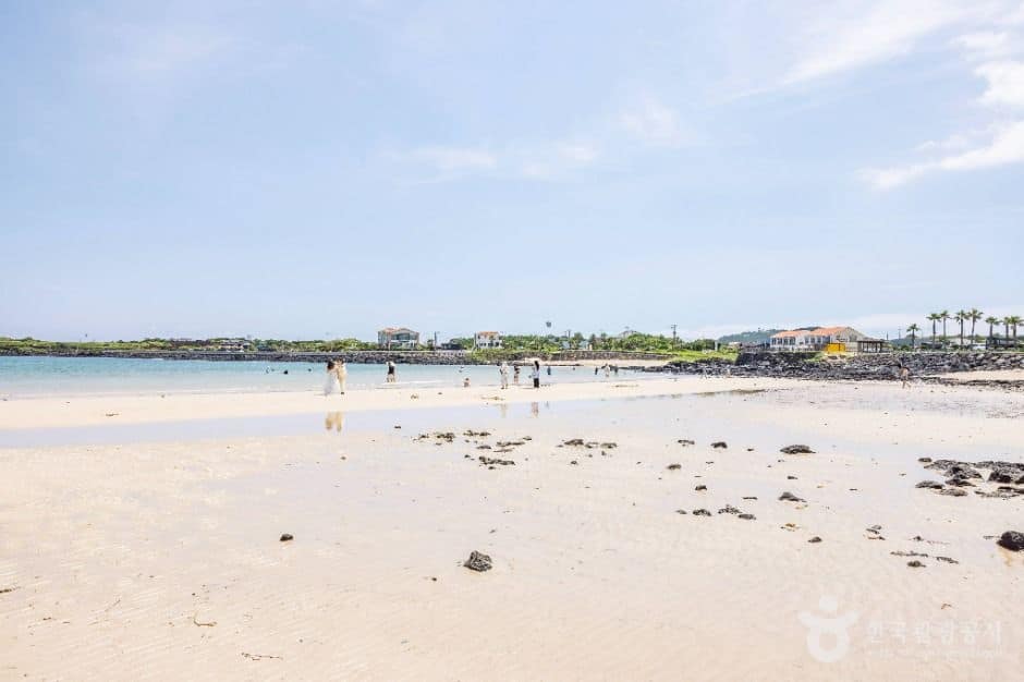 제주_하고수동해변 (5)