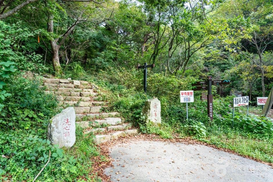 서산_개심사 가는 길 (4)