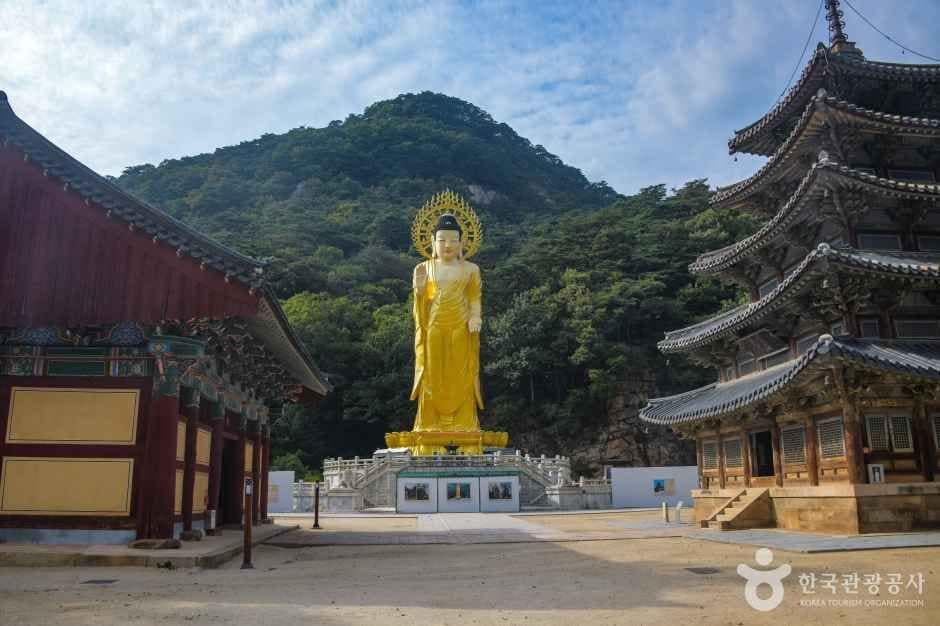 보은 법주사 (8)