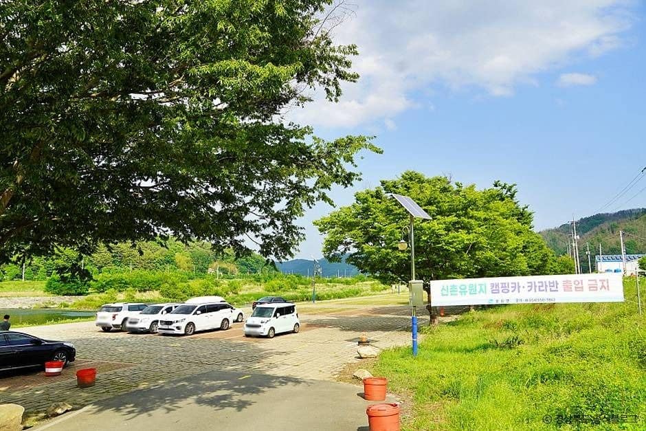고령_고령 신촌숲 (1)