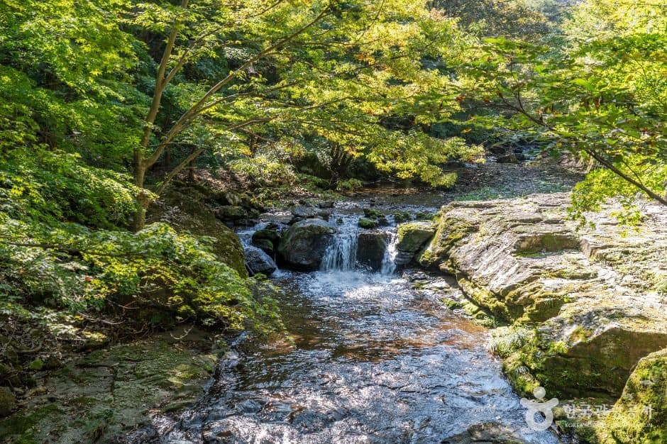 순창_강천산 군립공원 (7)