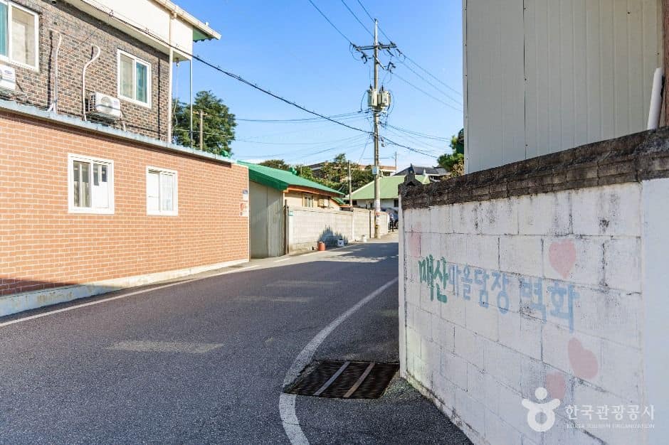 음성군_매산마을 담장벽화 (5)