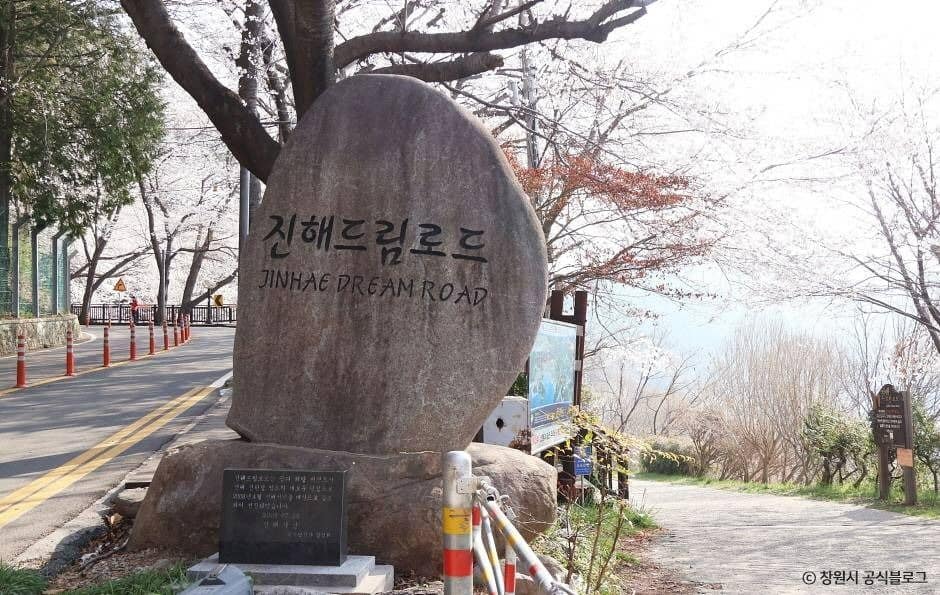 창원_진해드림로드 (5)