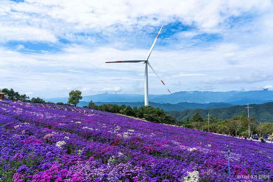 거창_거창 별바람언덕 (1).jpg