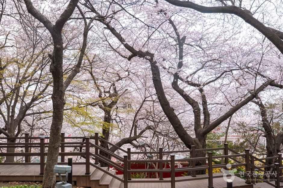인천_중구_자유공원_외부_6.jpg