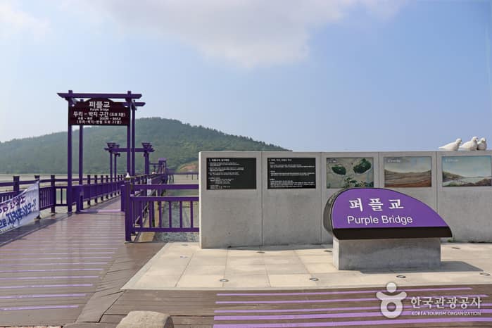 전남_신안_1보 3컷 인생샷 성지, 보라색 파도치는 반월도·박지도_07
