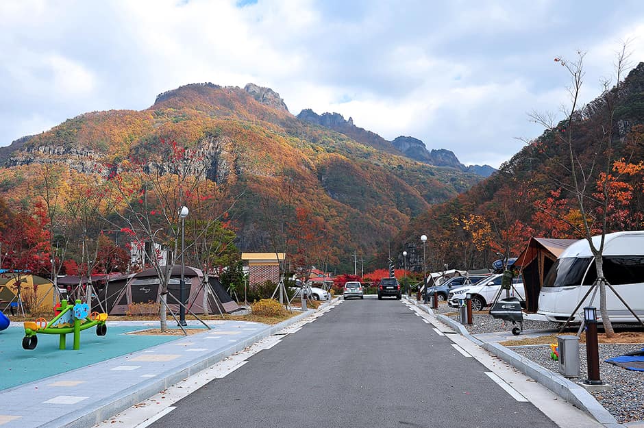 경상북도_봉화군_청량산캠핑장_전경
