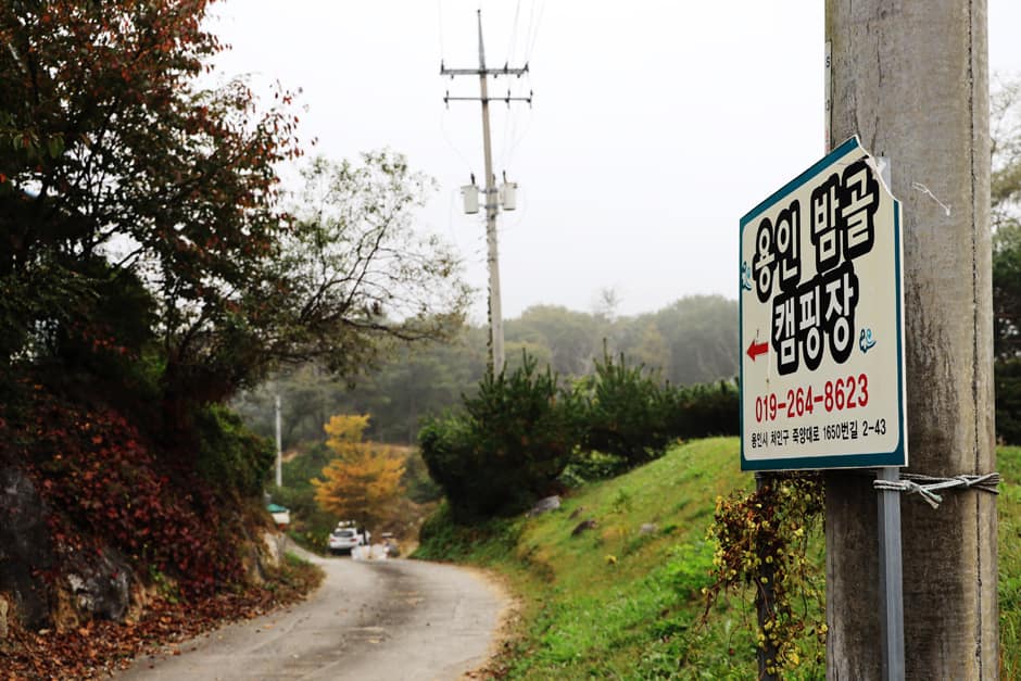 경기_용인시_밤골캠핑장 (5)