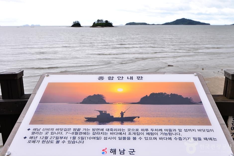 해남_송지 대죽리 조개잡이 체험장 (1)