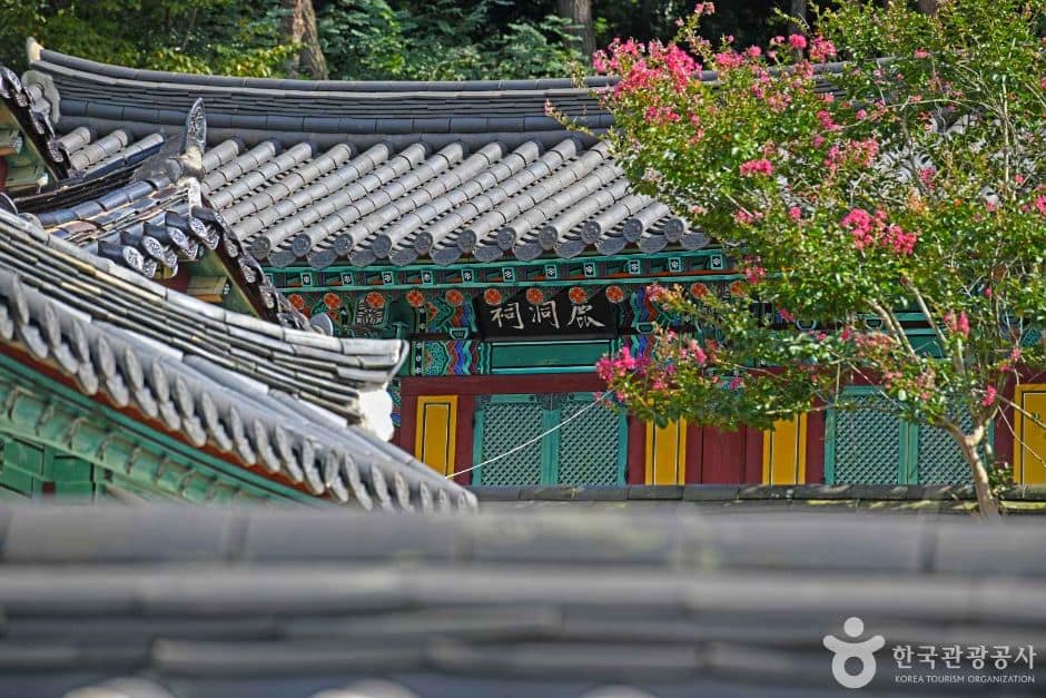 영암_녹동서원 (6)