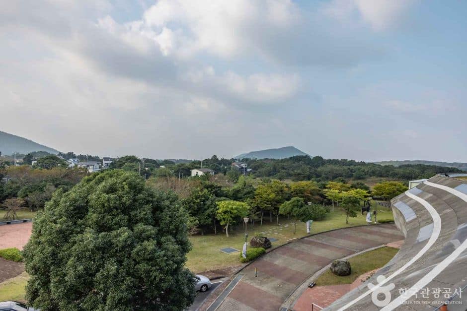 제주_제주_선흘2리마을 (8)