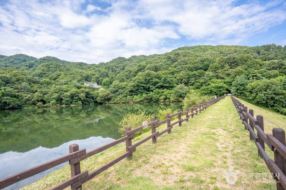 구미_옥성자연휴양림 (6)