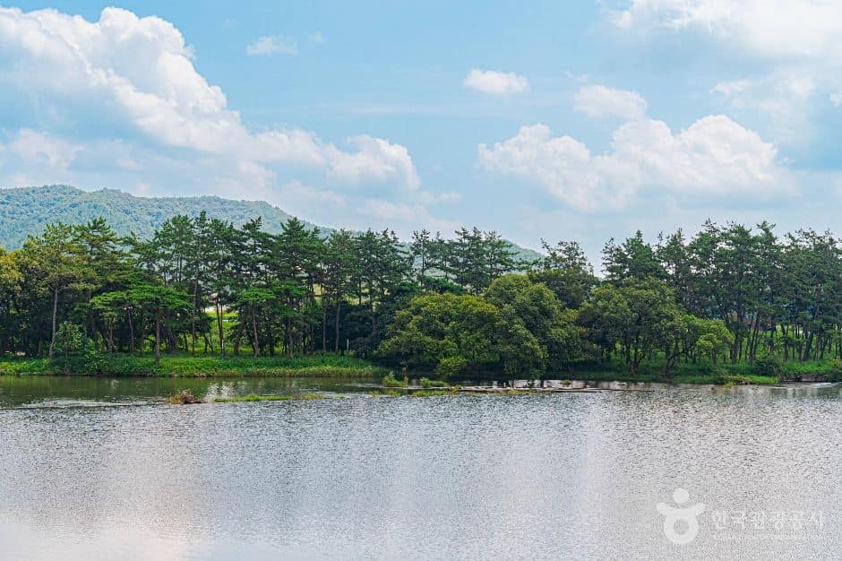 나주_드들강솔밭유원지 (4)