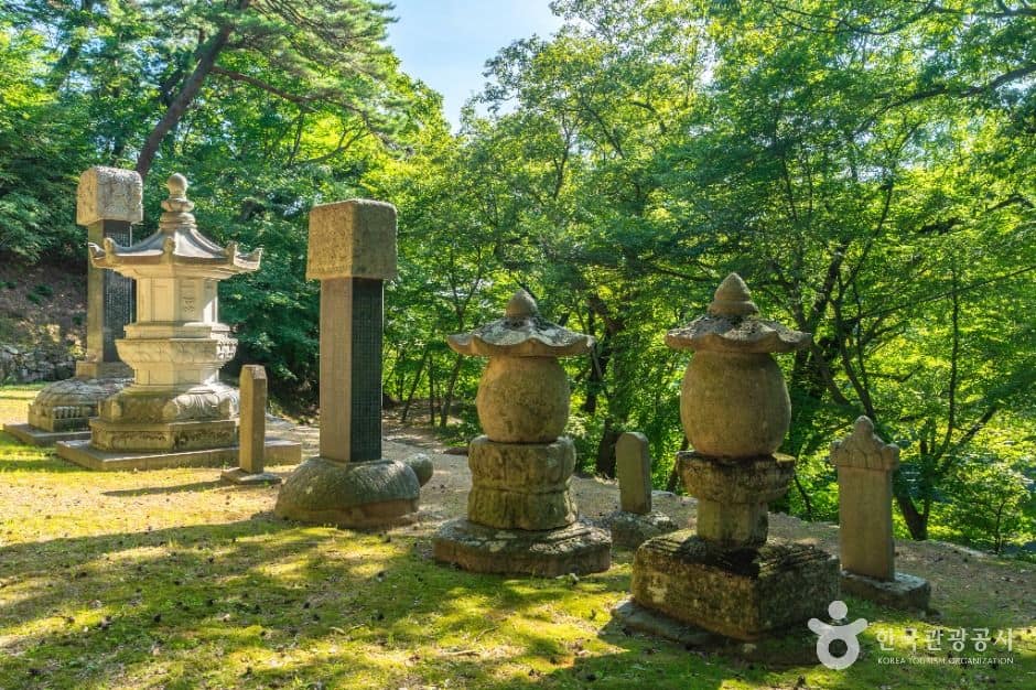 대구_회진당원의대사지비 (3)