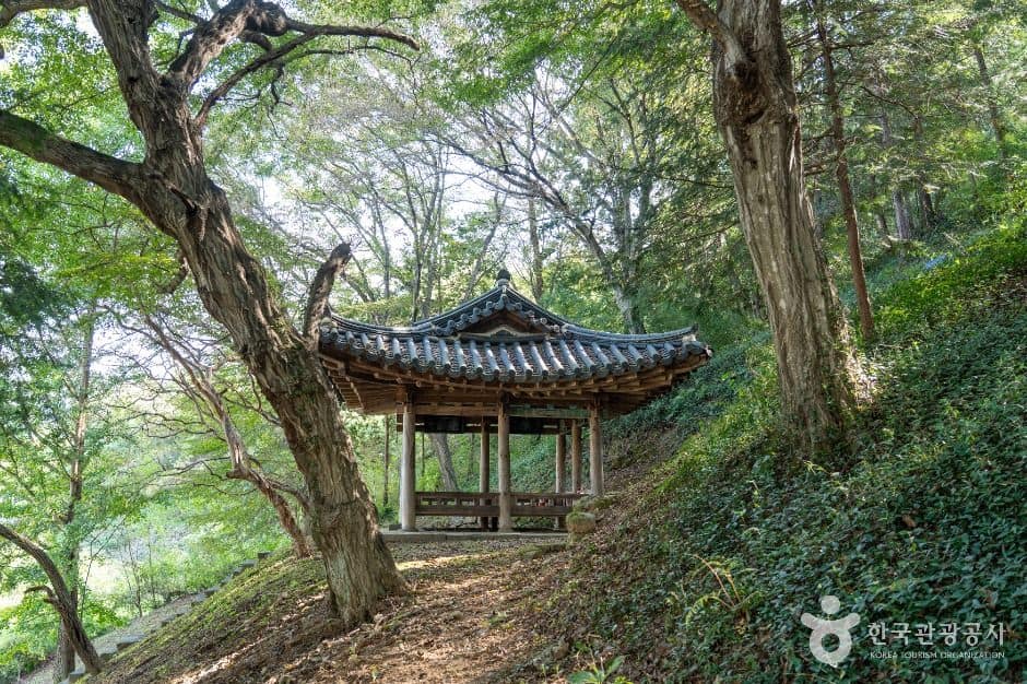 담양_남희정 (5)