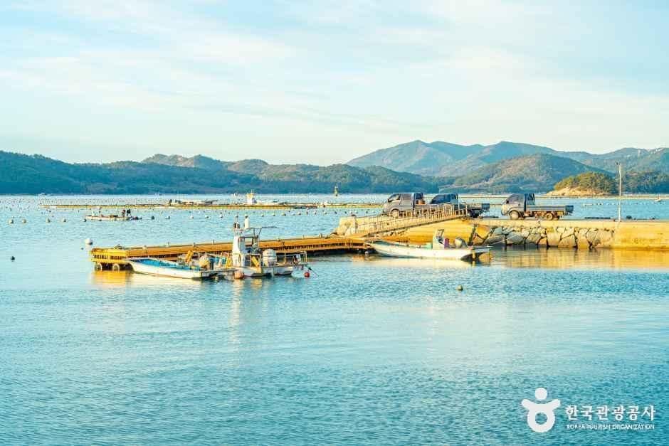 완도_소안항 (5).jpg