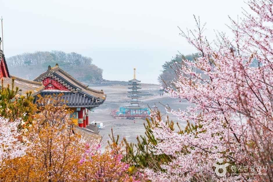 충남_태안_안면암_6.jpg