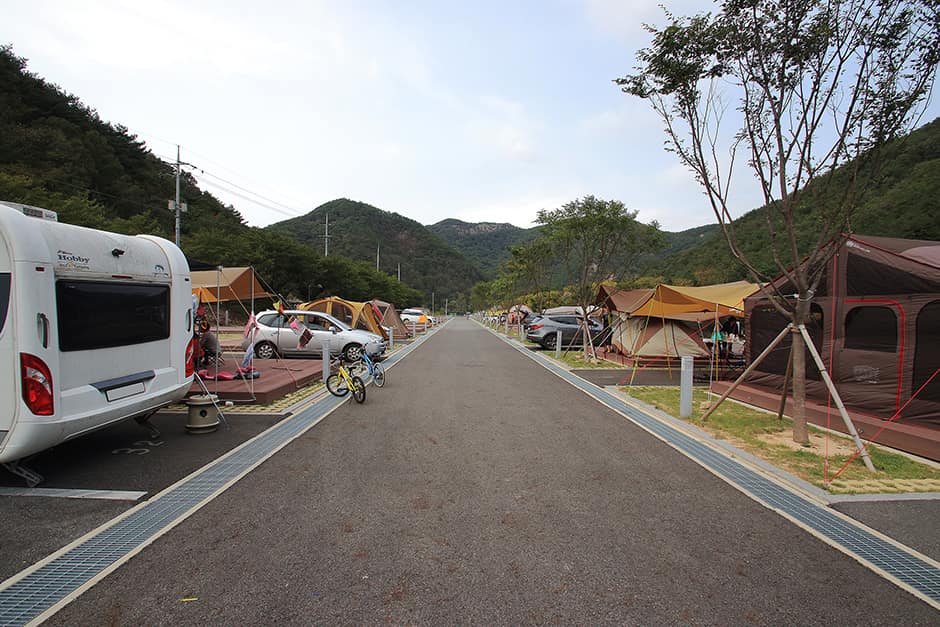 산꽃벚꽃마을오토캠핑장_전경2