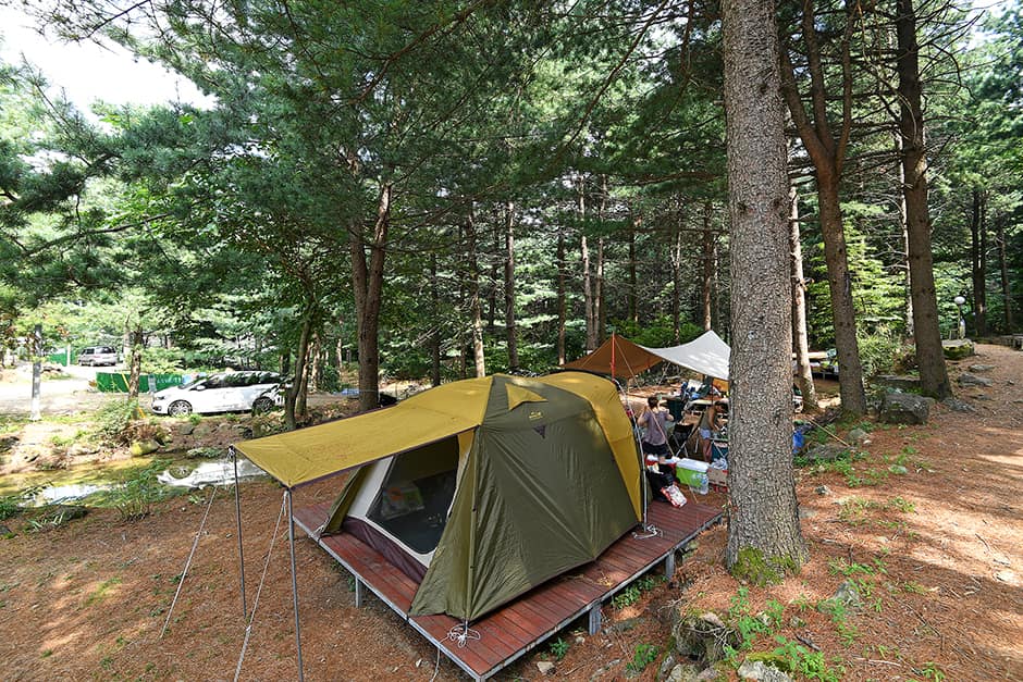 지리산 숲속의 쉼터 사진 2