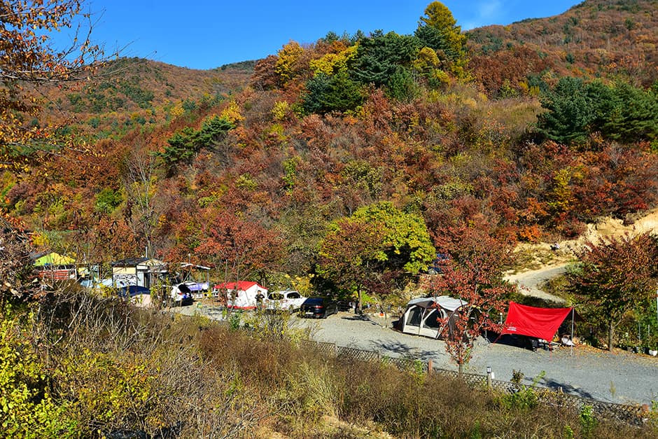 천문대 별빛정원_캠핑장 전경2