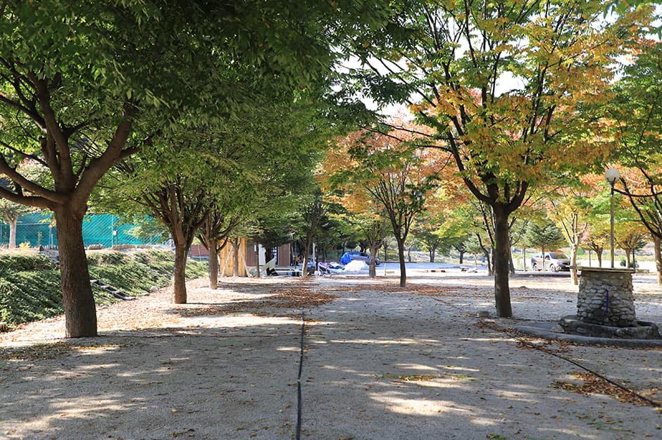 강원도_철원군_매일민박캠핑장_캠핑장