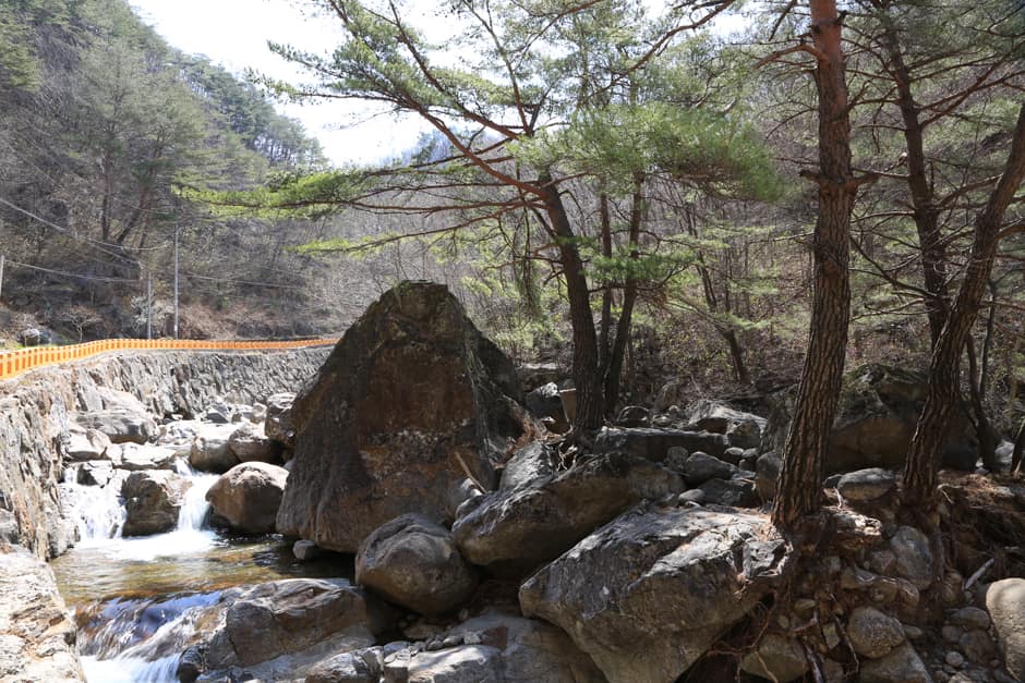 단천마을계곡_전경 (5)