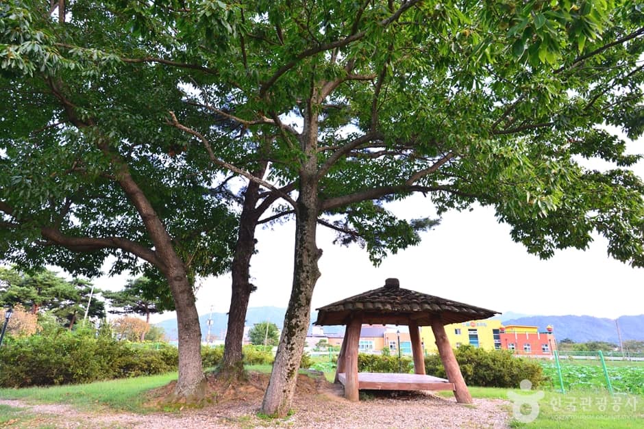 전남_곡성_죽동제 (8)