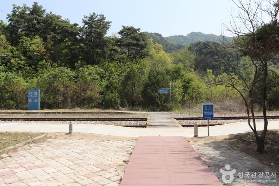 반곡역 (8)