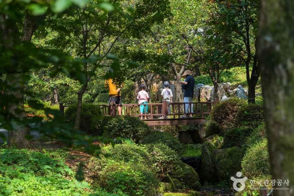 용인자연휴양림