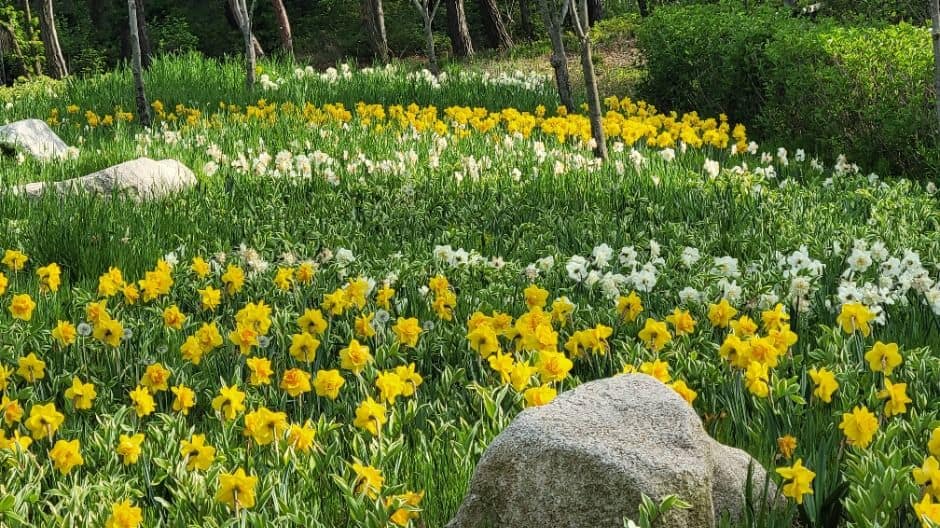 안산_바다향기수목원 (1)