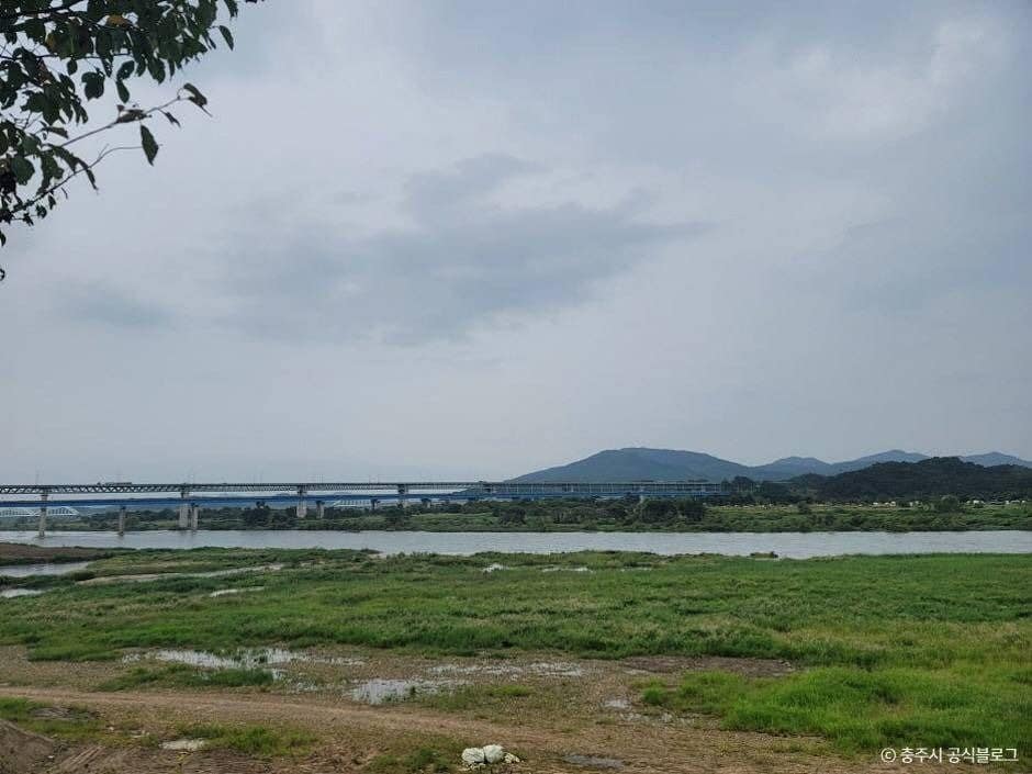 충주_남한강 (1)