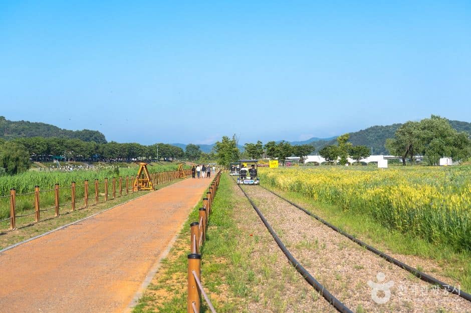평택_진위천유원지 (4)