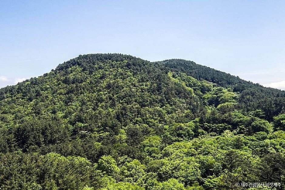제주_삼의악오름 (1)