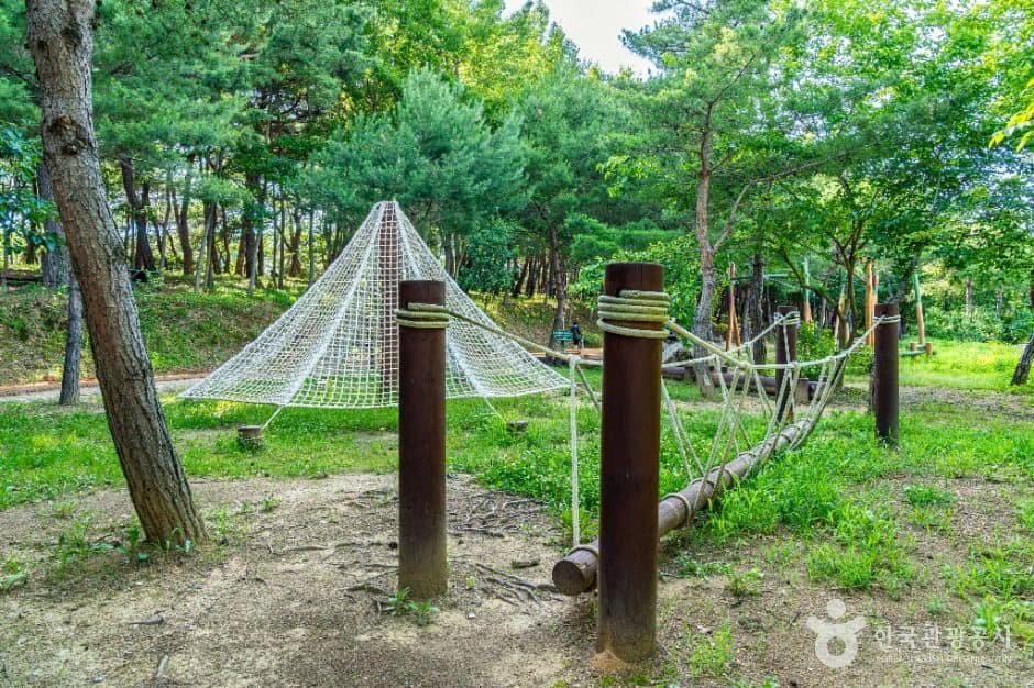 안동_천년숲 (8)