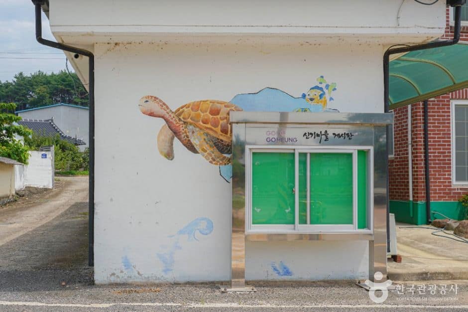 전남_고흥 신기거북이마을 (1)